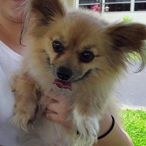 Meet your Posher, Christine